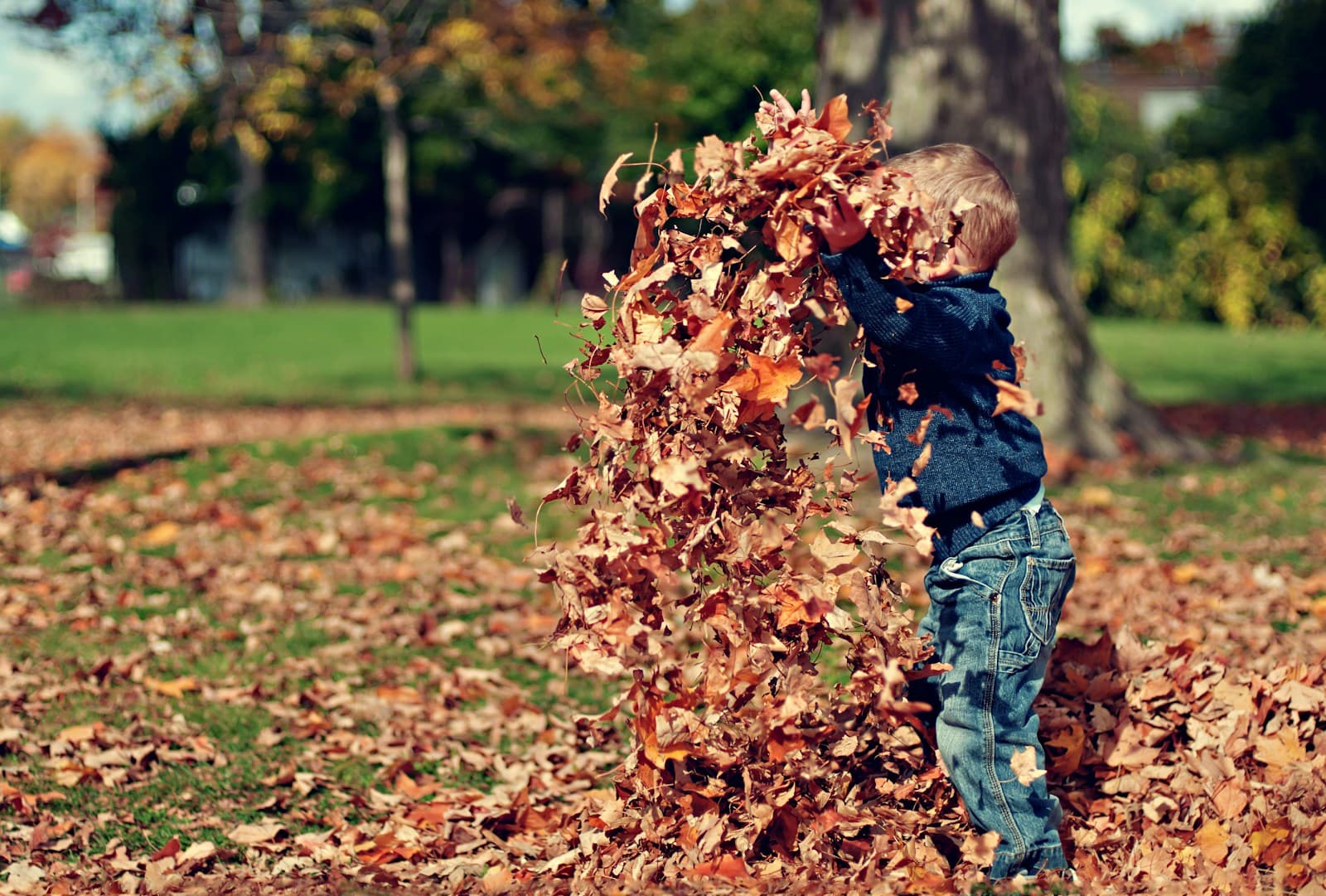 Un tout-petit joue avec des feuilles mortes ramassées au sol.
