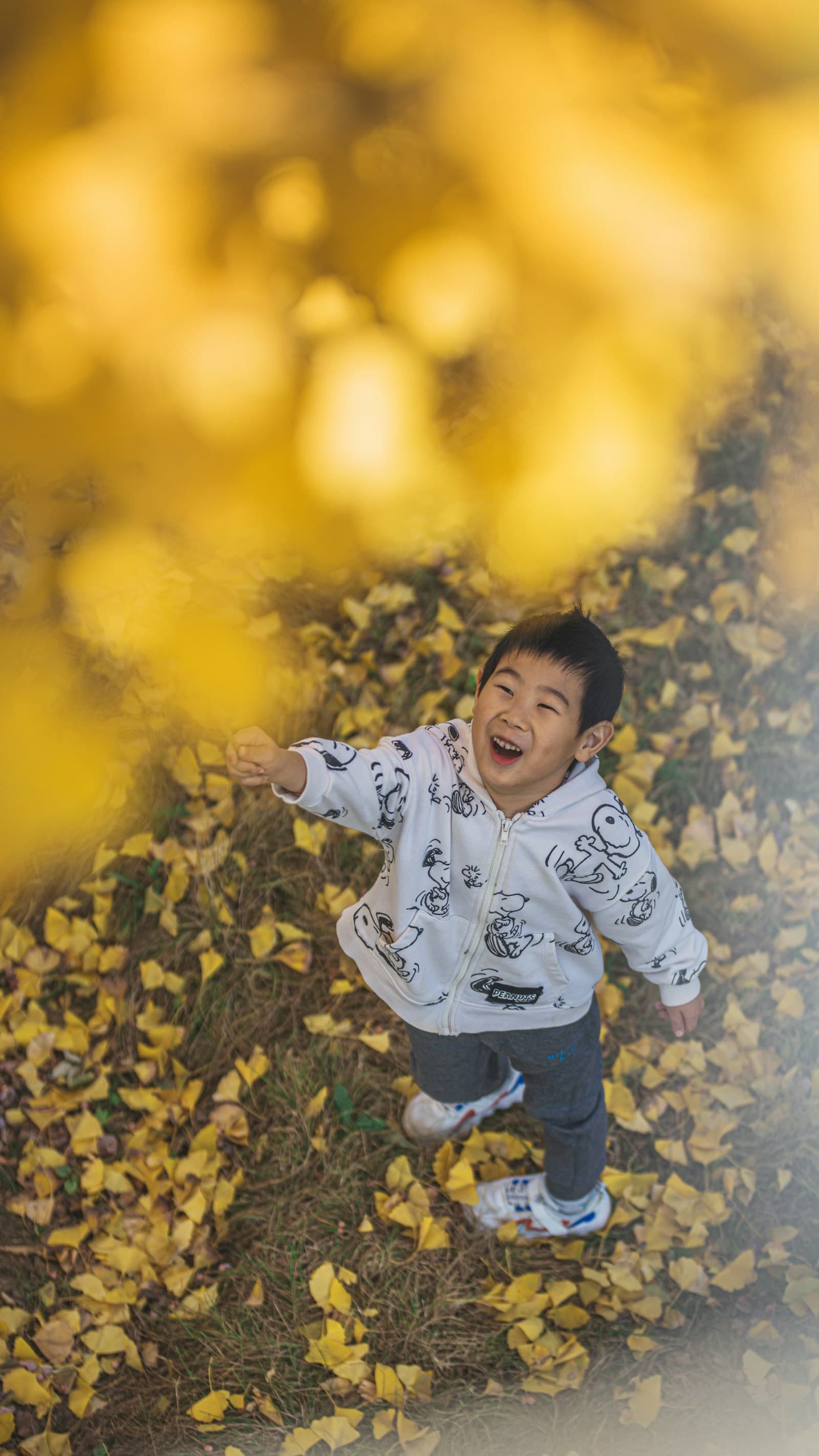 Un jeune enfant se tient debout au milieu d'un tapis de feuilles.